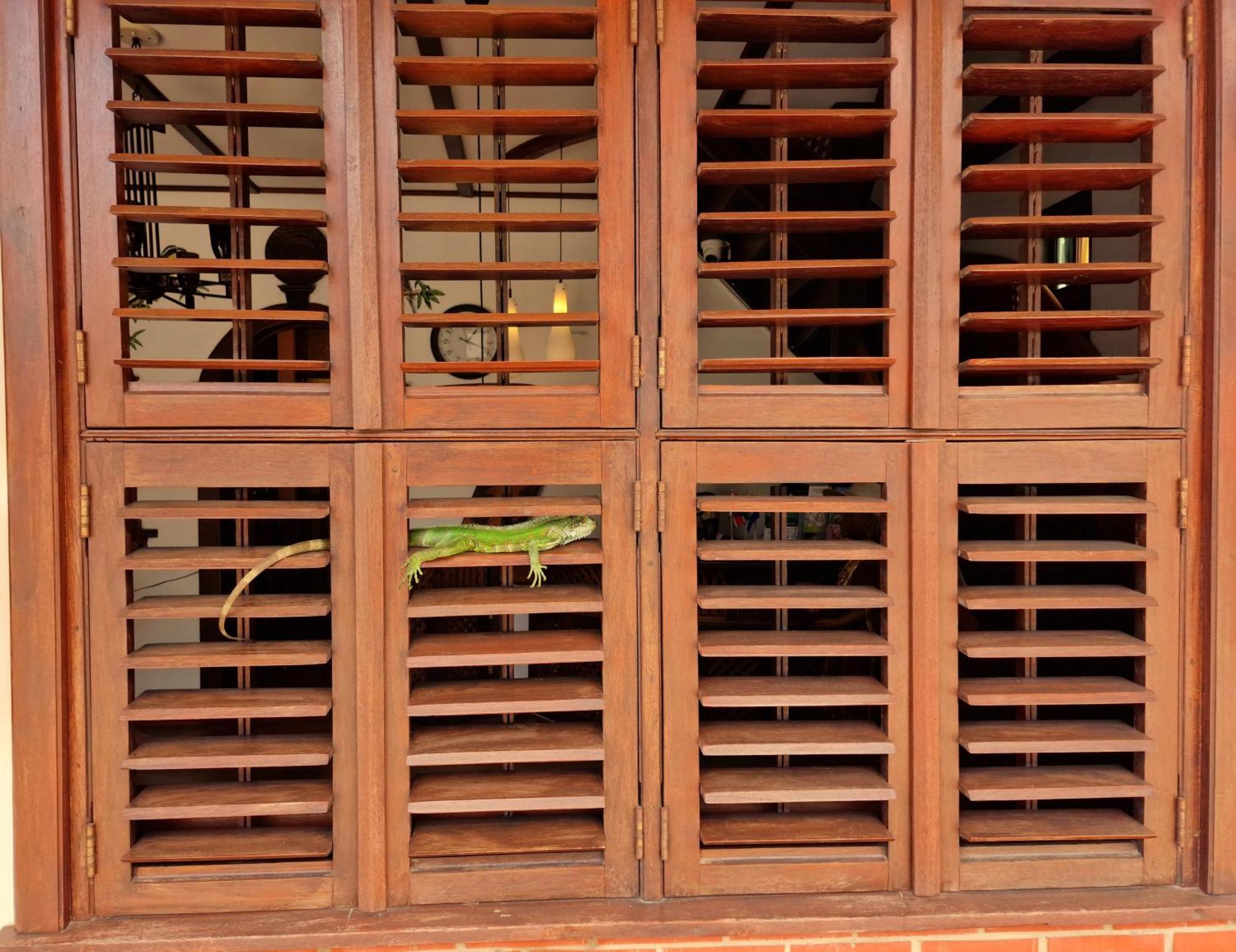 Greenheart Boutique Hotel Paramaribo Luaran gambar